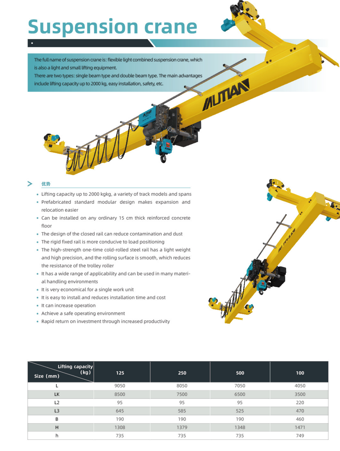 Suspension crane