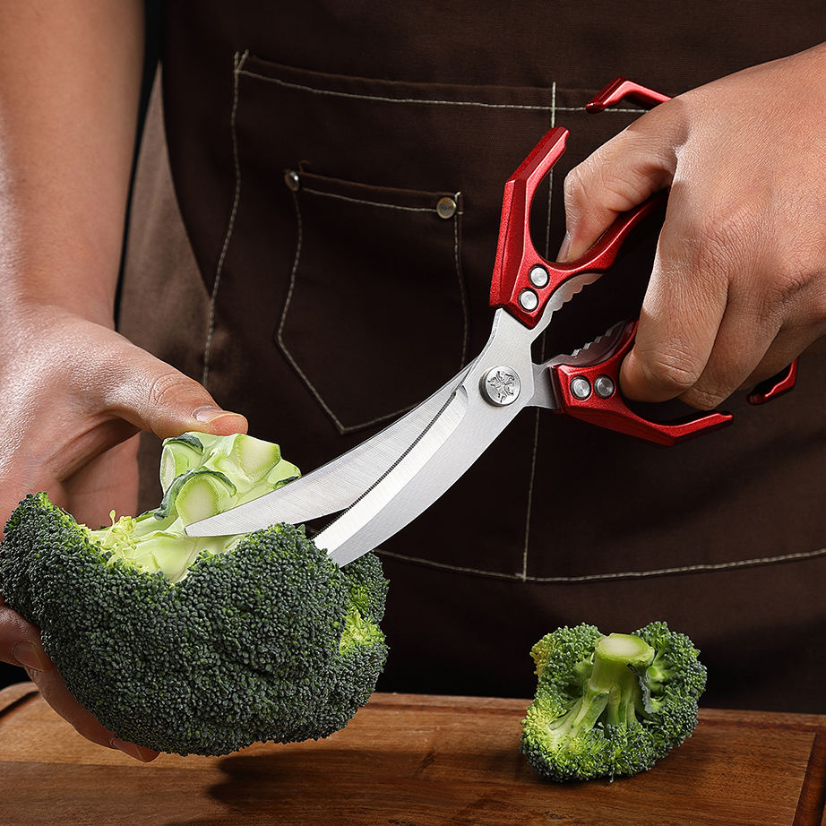 Professional cooking shears for kitchen use