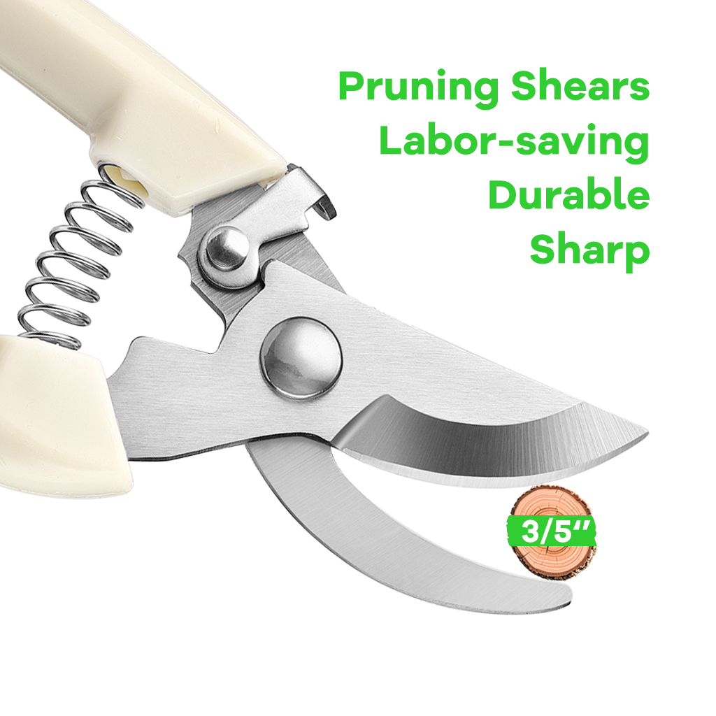 锋利的园艺剪刀，用于修剪树枝