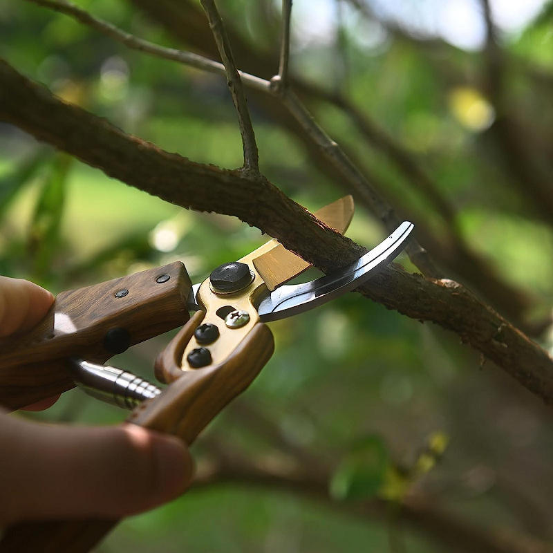 Manual garden shears for thick branch cutting