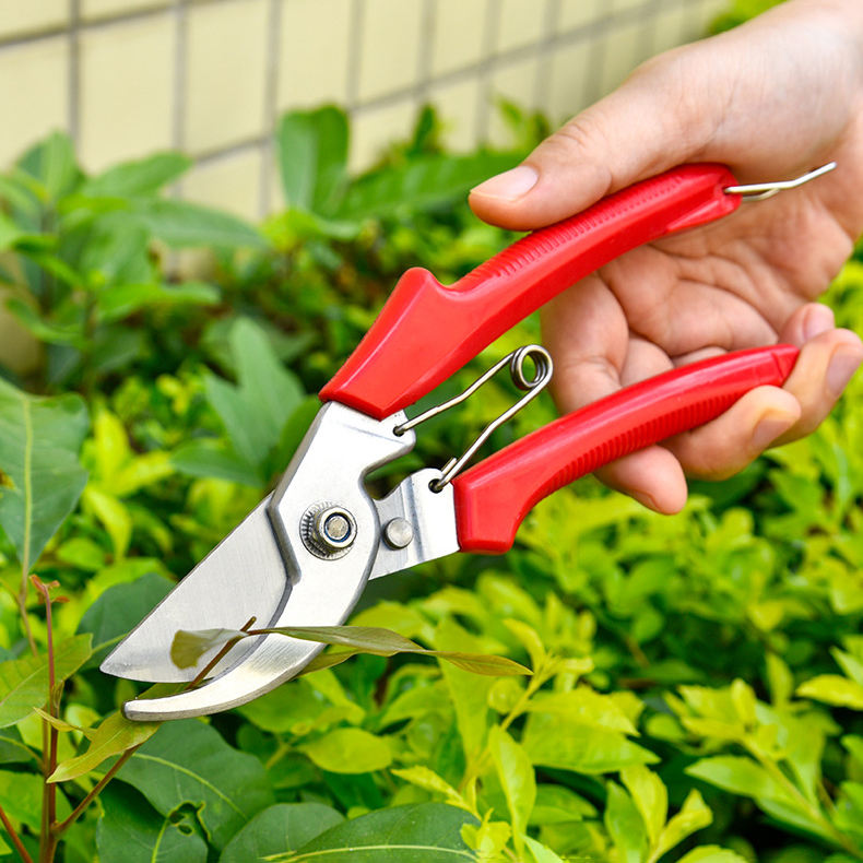 Dual-purpose pruning shears for flowers and branches