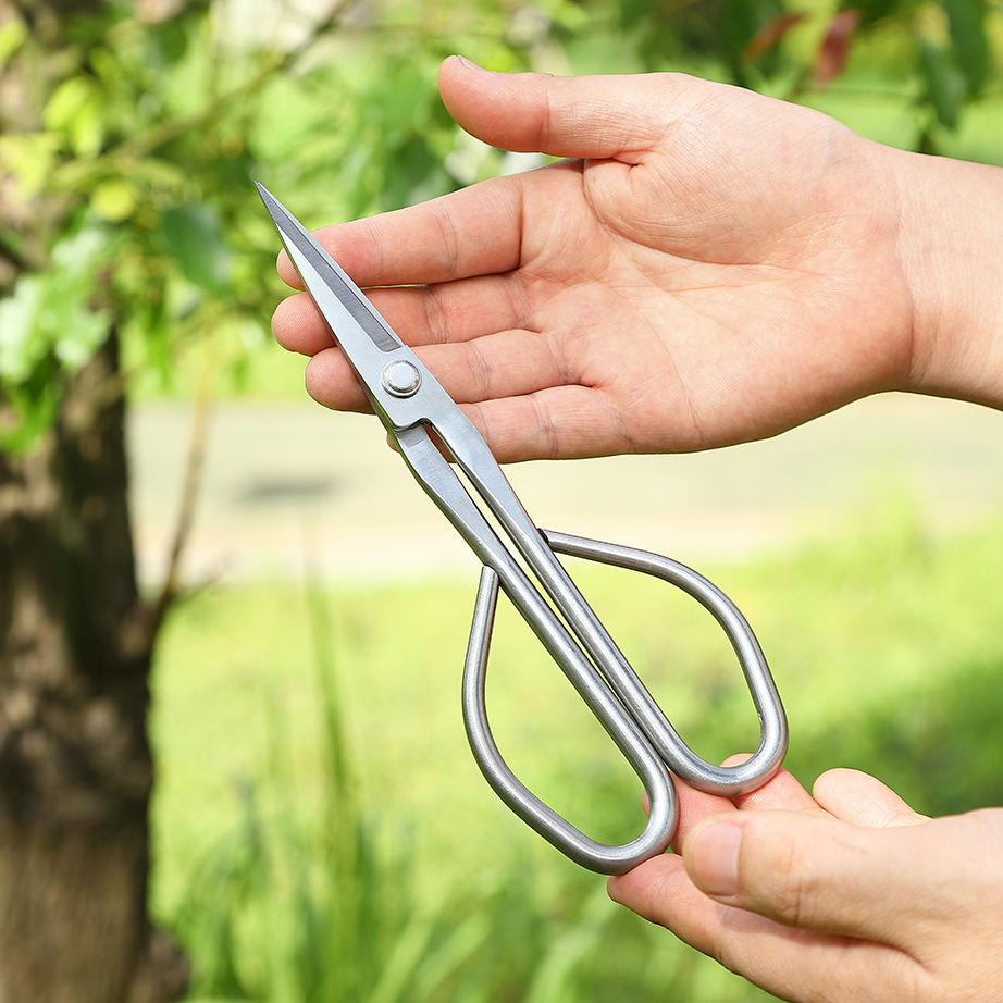 Sharp blade sprout pruning tool