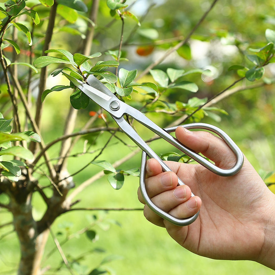 Garden pruning shears for tender shoot cutting