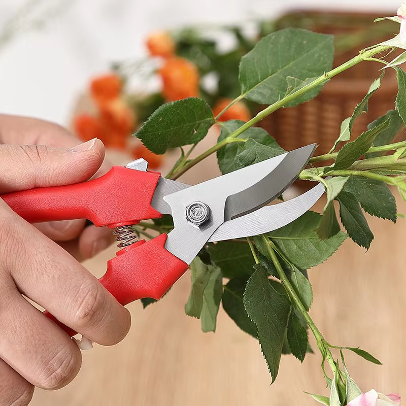 Stainless steel pruning shear blade close-up