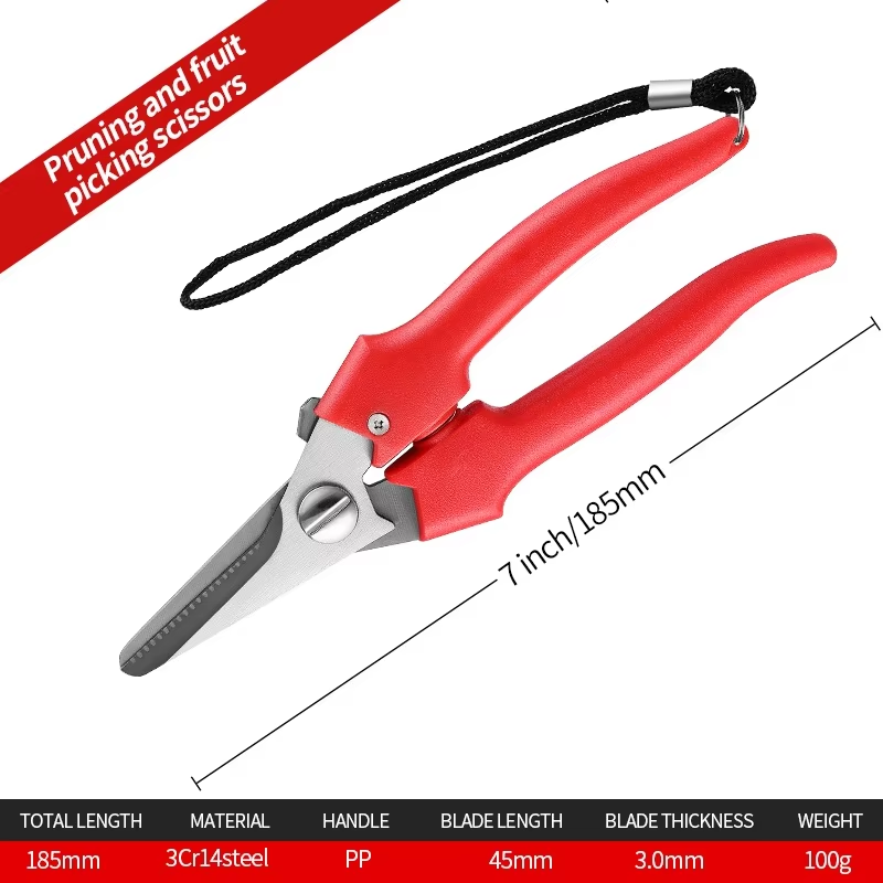 Stainless steel fruit tree pruning shears
