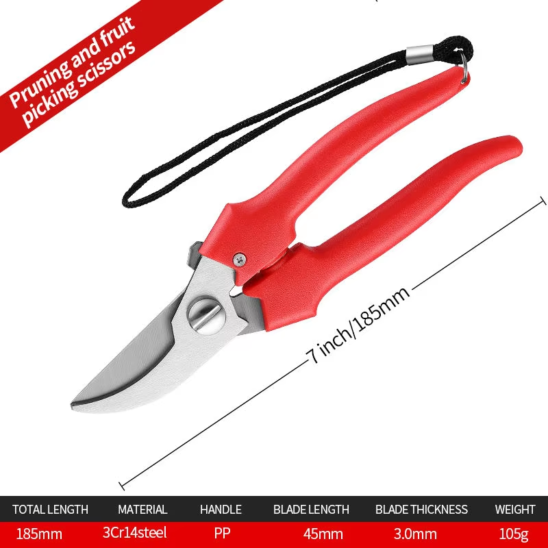 Stainless steel fruit tree pruning shears