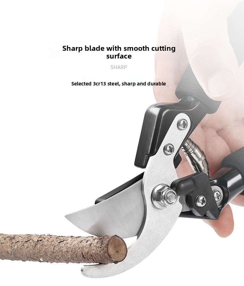 Fruit tree pruning scissors set with Oxford bag